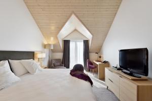 TV a/nebo společenská místnost v ubytování Hotel La Barcarolle