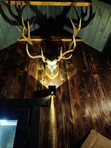 Φωτογραφία από το άλμπουμ του Brīvdienu namiņš ar pirtiņu σε Kuyvizhi