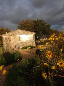 a building with a window in a field of flowers at The Oaks Glamping - Jasper's Shepherds Hut in Colkirk