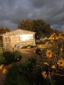 a building with a window in a field of flowers at The Oaks Glamping - Jasper's Shepherds Hut in Colkirk +6 photos
