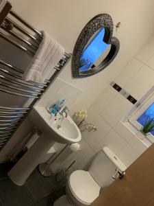 a bathroom with a toilet and a sink and a mirror at Walnut Apartments in Brumby