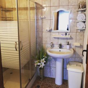 La salle de bains est pourvue d'un lavabo et d'une douche en verre. dans l'établissement Къща Арапя, à Lozenets