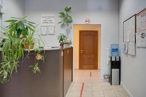 モスクワにあるHotel Ladomirの鉢植えの病院廊