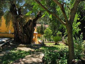 Fotografie z fotogalerie ubytování Maria Apartments - Roumanis v destinaci Liapades