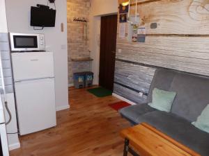 TV a/nebo společenská místnost v ubytování Apartament Kraszewskiego