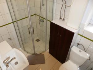 Koupelna v ubytování Apartament Kraszewskiego