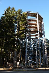 Fotografia z galérie ubytovania Apartmán Lipno 50 v destinácii Lipno nad Vltavou