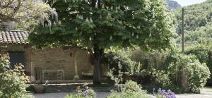 a garden with a large tree and a building at La Cour du Marronnier in Pont-de-Barret