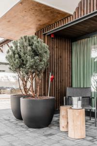 a large black pot with a pine tree in it at The Base Andermatt in Andermatt