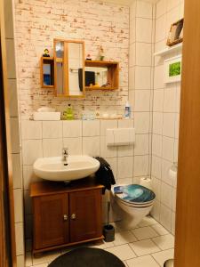 a bathroom with a sink and a toilet at Ferienwohnungen Sonnenseite Brombachsee in Absberg
