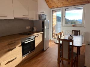 Kuchyň nebo kuchyňský kout v ubytování Apartmány Kubova Huť