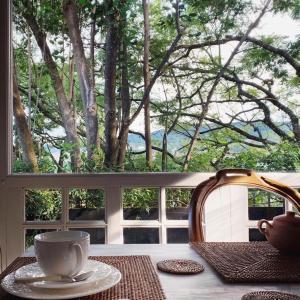- une table avec une tasse de café sur une table devant une fenêtre dans l'établissement Los Tarcos Guest House, à San Salvador de Jujuy
