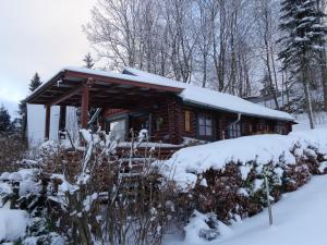 a log cabin in the woods with snow on it at Ferienhaus Sachse in Pockau