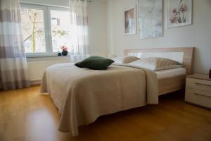 Ferienwohnung Donau في بالينغن: غرفة نوم عليها سرير ومخدة خضراء