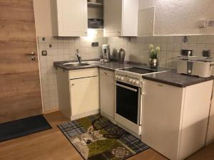 Kuchyň nebo kuchyňský kout v ubytování Apartment am Bikepark mit Kamin und Sauna
