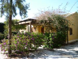 a house with purple flowers and a tree at Villa Carcano in Trani