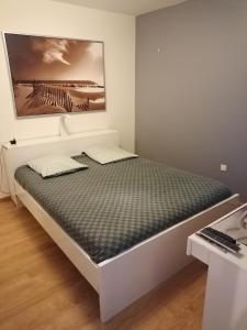Bett in einem Zimmer mit einem Bild an der Wand in der Unterkunft Joli Appartement Coquet in Reims