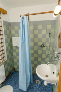 uma casa de banho com uma cortina de chuveiro azul e um lavatório. em Horská bouda Čihalka em Olešnice v Orlických horách