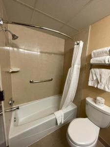 Koupelna v ubytování Comfort Inn Ballston