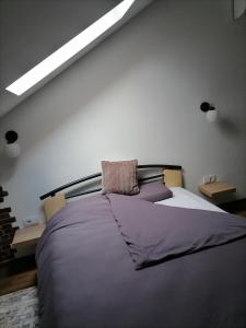 Krevet ili kreveti u jedinici u okviru objekta Apartmani Lukic Valjevo