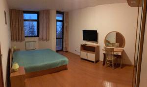 Schlafzimmer mit einem Bett, einem Schreibtisch und einem TV in der Unterkunft Flora Apartment 613 in Borowez