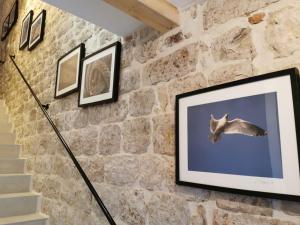 Fotografia z galérie ubytovania House Bava vo Vise