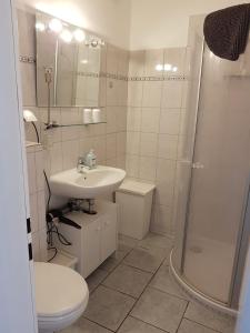 uma casa de banho com um lavatório, um chuveiro e um WC. em Appartement mit Balkon und Meerblick em Fehmarn