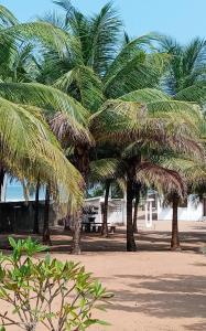 大巴薩姆的住宿－L'elephant blanc，沙滩上的棕榈树