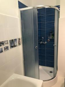 una doccia con porta in vetro in bagno di Apartments in Balatonkeresztur 37924 a Balatonkeresztúr