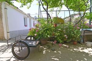 Fotografia z galérie ubytovania Apartment in Veli Losinj 15050 vo Veli Lošinj