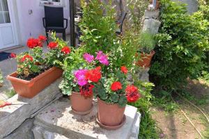 Fotografia z galérie ubytovania Apartment in Veli Losinj 15050 vo Veli Lošinj