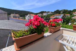 Fotografia z galérie ubytovania Apartment in Veli Losinj 15050 vo Veli Lošinj