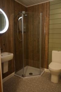 a bathroom with a shower with a toilet and a sink at Cosy Rowan woodland lodge no1 in Killin