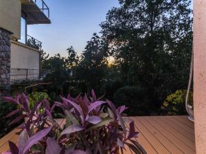 a garden with purple plants on a wooden deck at Apartment in Njivice - Insel Krk 33553 in Njivice