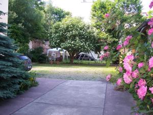 a driveway with pink flowers and a tree in a yard at Hotel Pension Streuhof Berlin in Berlin