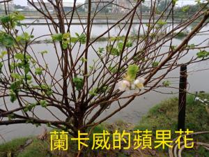 民宿周边自然景观