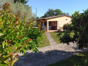 mały dom z ogrodem przed nim w obiekcie Holiday home in Rovinj - Istrien 11494 w Rovinj +13 zdjęć