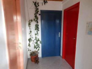 a blue door in a room with a potted plant at Apartment Vodice 2 in Vodice
