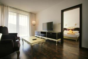 TV a/nebo společenská místnost v ubytování Garden Hotel Domaša