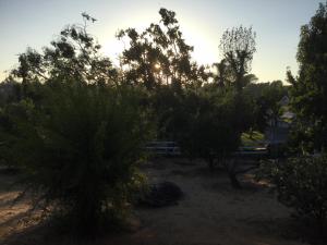 a group of trees with the sunset in the background at Beautiful new detached casita nestled in scenic southern CA foothills! in Fallbrook