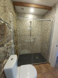 a bathroom with a shower with a white toilet at Casa Rural A Gorgoriña in Cangas de Morrazo