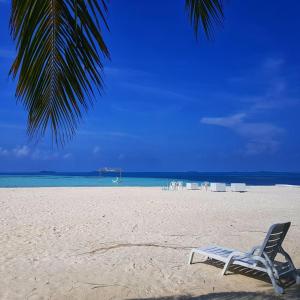 a chair on a beach with a palm tree and the ocean at Sunset Beach View in Dhangethi