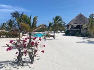 a beach with flowers and a resort with a pool at Watamu Shell House in Watamu
