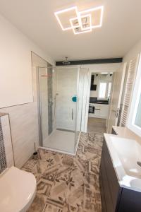 een badkamer met een douche en een toilet bij Hof 63 in Geisfeld