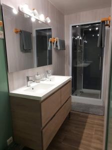 un bagno con lavandino, specchio e doccia di Gîte Les Hortensias a Vaas Altre 11 foto
