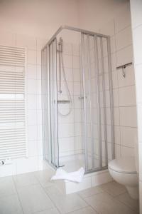 a bathroom with a shower and a toilet at Pension Schloss Heringen in Heringen +43 photos