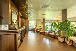 索非亞的住宿－艾杜雷德精品酒店，一间设有桌子和一些植物的用餐室