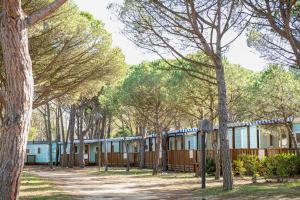a row of houses in a forest with a train at Albatross Mobile Homes on Camping Playa Brava in Pals