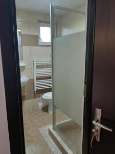 un bagno con wc e porta a vetri di Casa Anemyra a Braşov Altre 84 foto