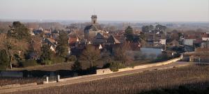 Afbeelding uit fotogalerij van Domaine VIOLOT-GUILLEMARD in Pommard +33 foto's